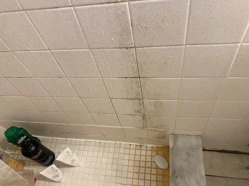 Local residential landscaping in Daytona Beach, FL by So Fresh So Clean XTRM