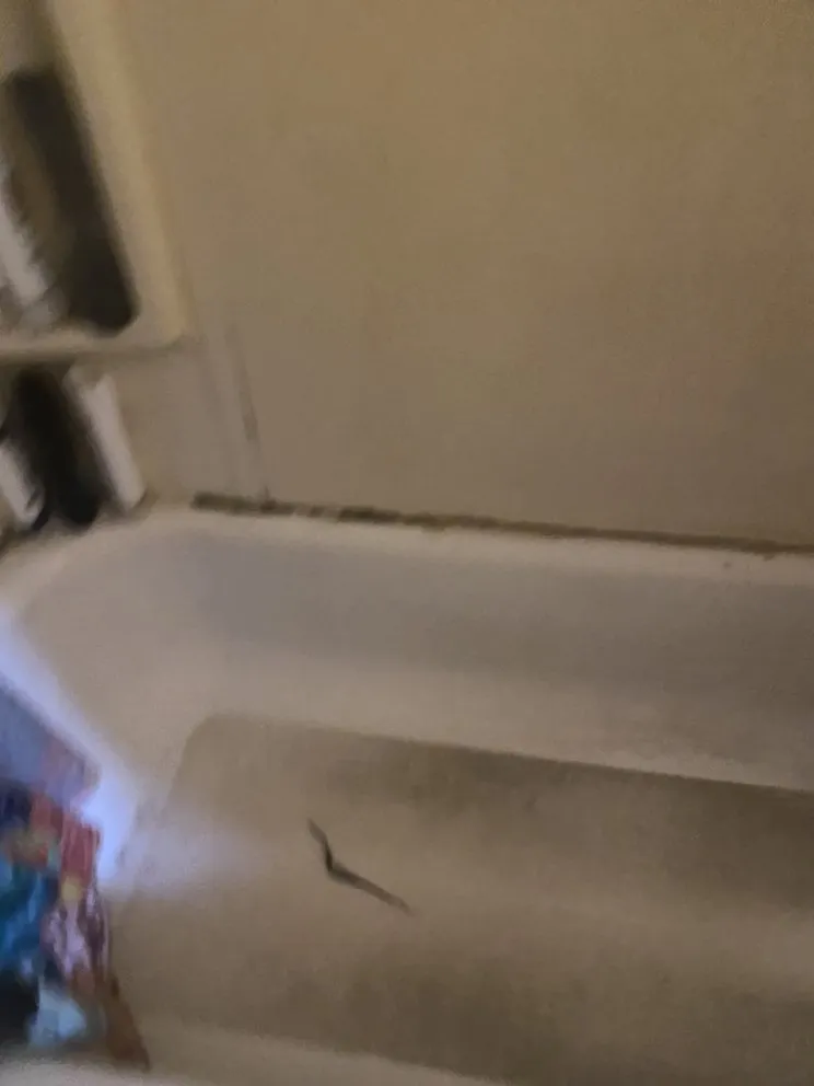 Reliable lawn care service for outdoor upgrades in Daytona Beach, FL by So Fresh So Clean XTRM