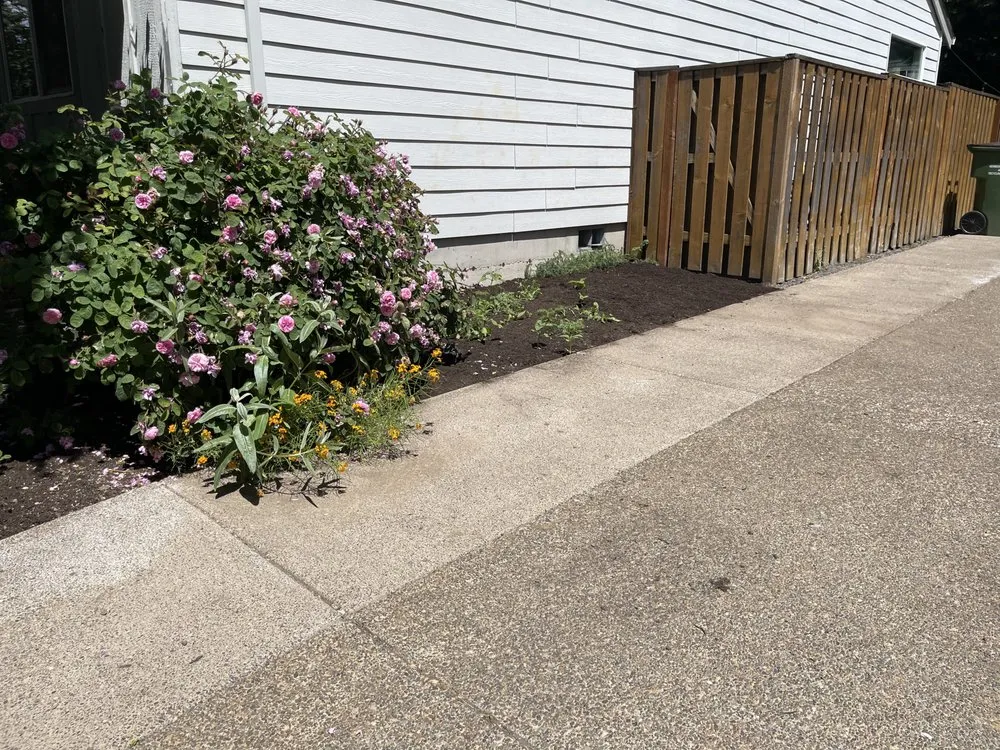 Reliable lawn mowing service for year-round maintenance in Newberg, OR by So Green