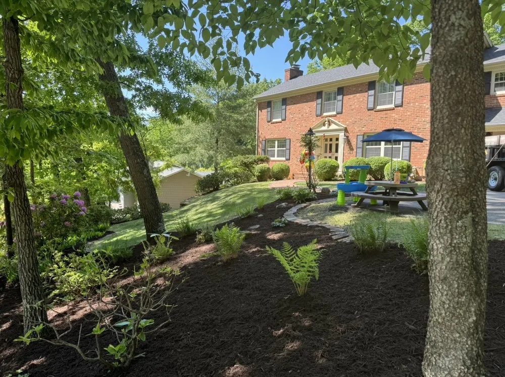 Reliable yard cleanup service for homes in Roanoke, VA by S.O. Lawn Care