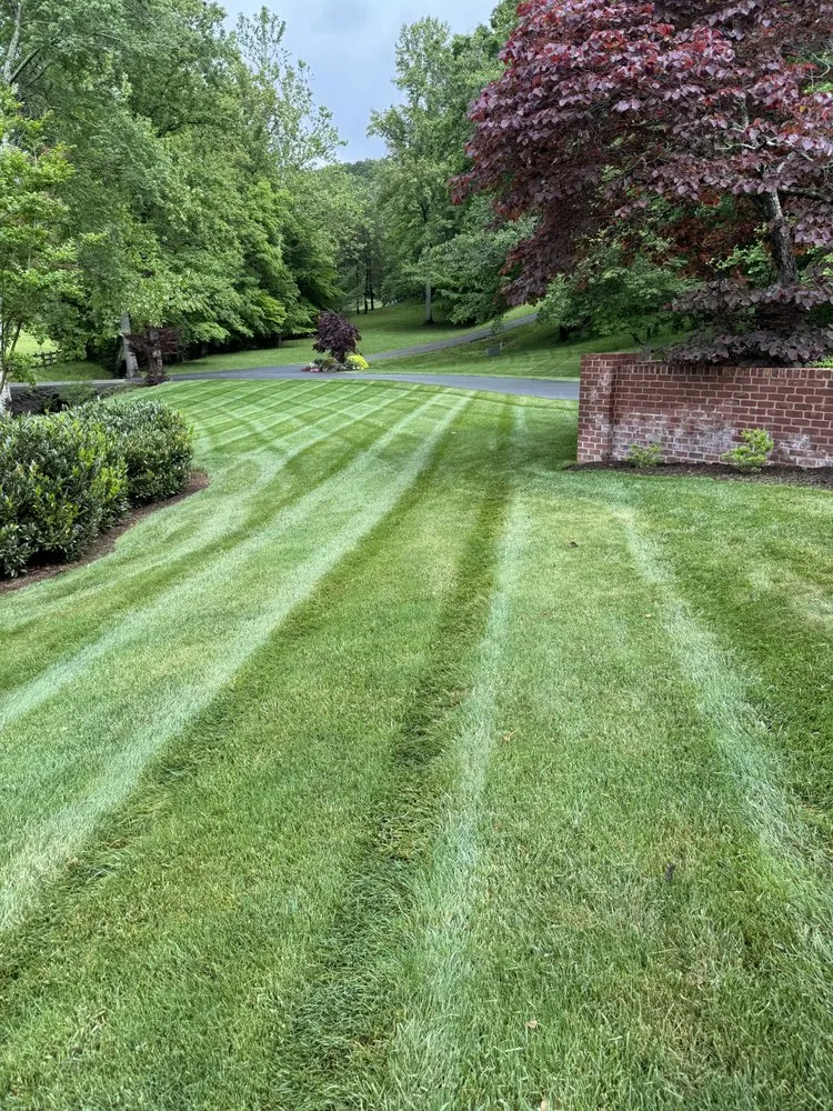 Local lawn care service in Roanoke, VA by S.O. Lawn Care