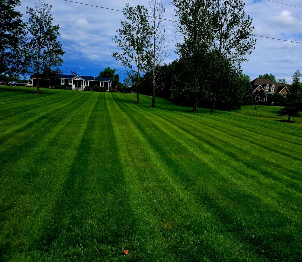 Reliable yard cleanup service in Croswell, MI by So Low Cuts Lawn Care