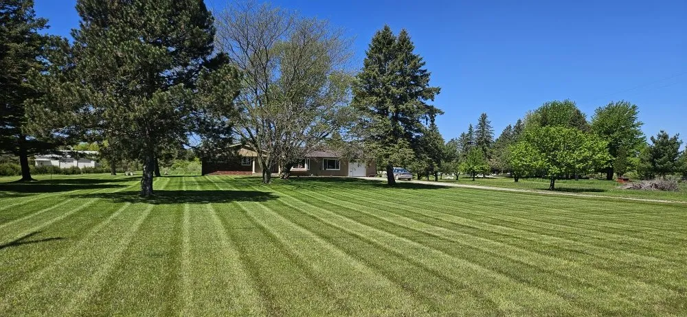 Reliable outdoor landscaping for year-round maintenance in Croswell, MI by So Low Cuts Lawn Care