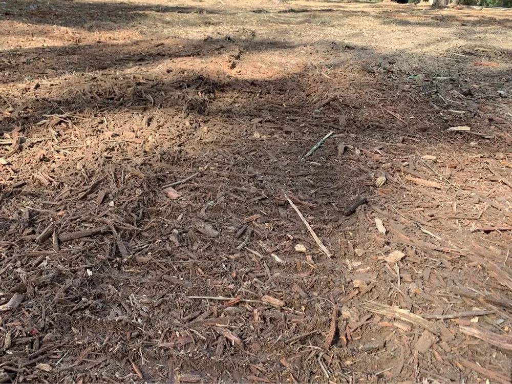 Reliable lawn care service experts serving Tomball, TX - So-Tex Underbrush Solutions