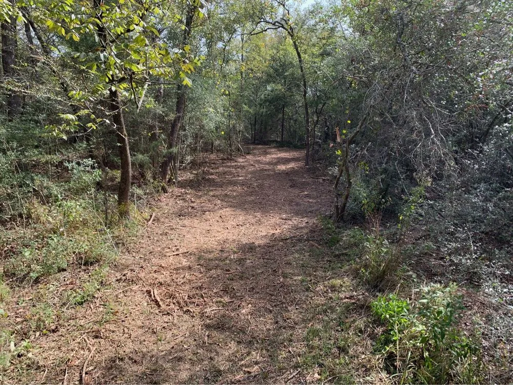 Reliable yard maintenance experts serving Tomball, TX - So-Tex Underbrush Solutions