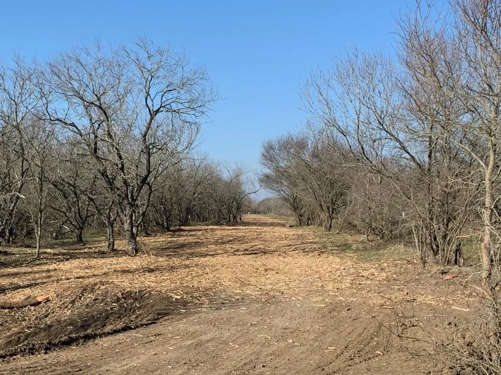 Local garden landscaping for year-round maintenance across Tomball, TX - So-Tex Underbrush Solutions