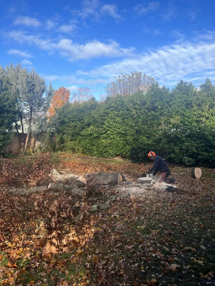 Reliable garden landscaping experts serving Medford, OR - SO Yard & Tree Care