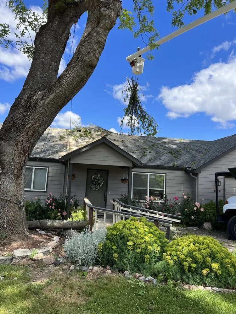 Reliable landscape design in Medford, OR - SO Yard & Tree Care