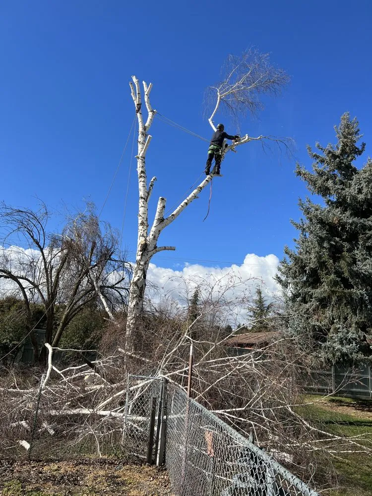 Local landscape installation near you in Medford, OR by SO Yard & Tree Care