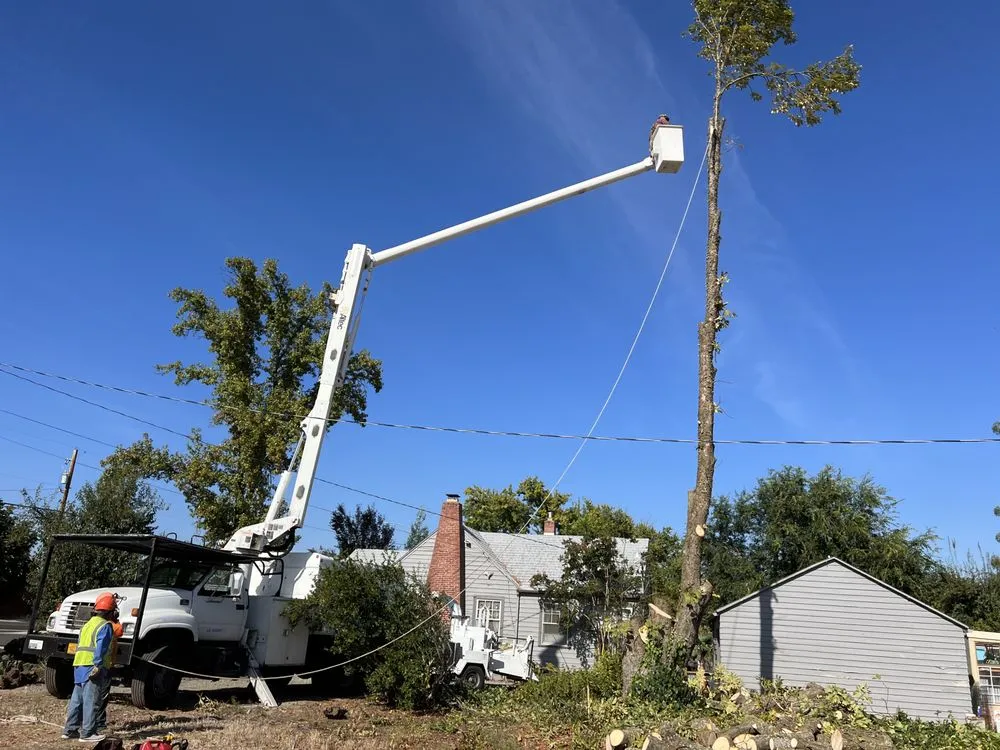 Affordable garden landscaping for outdoor upgrades across Medford, OR - SO Yard & Tree Care