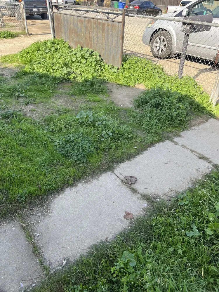 Reliable garden landscaping for outdoor upgrades in Bakersfield, CA by Soa Grass