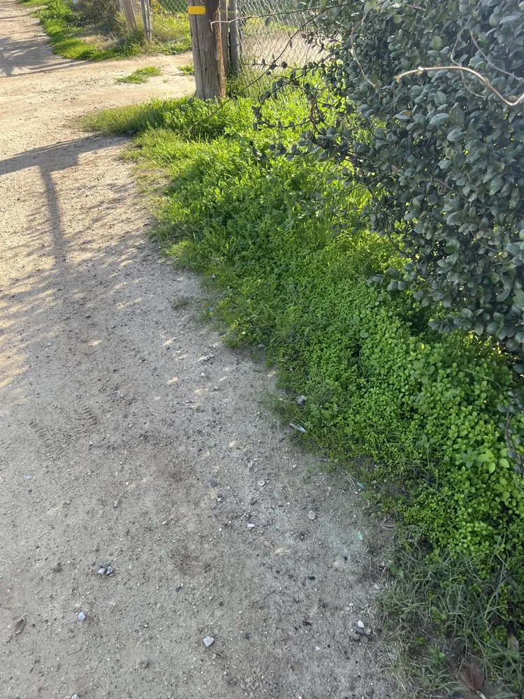 Professional lawn mowing service in Bakersfield, CA by Soa Grass