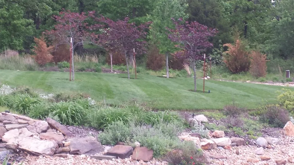 Trusted yard maintenance in Joplin, MO - Soaking Up The Son Yard Service