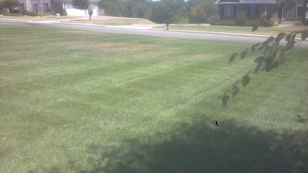 Custom landscape design near you in Joplin, MO by Soaking Up The Son Yard Service