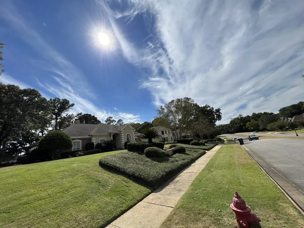 Top-rated yard cleanup service experts serving Daphne, AL - SoakIT