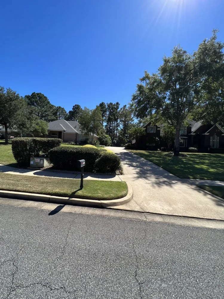 Professional yard cleanup service with custom design across Daphne, AL - SoakIT