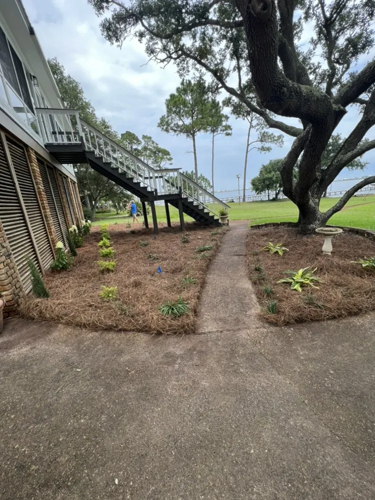 Top-rated lawn care service for outdoor upgrades in Daphne, AL by SoakIT