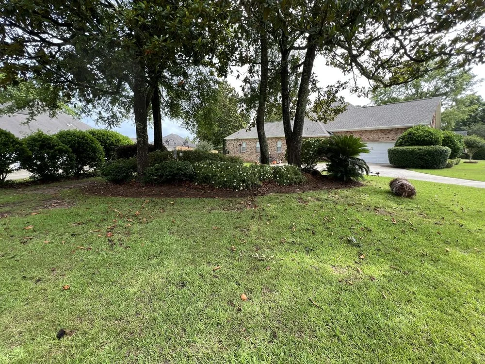 Professional landscaping services for homes across Daphne, AL - SoakIT