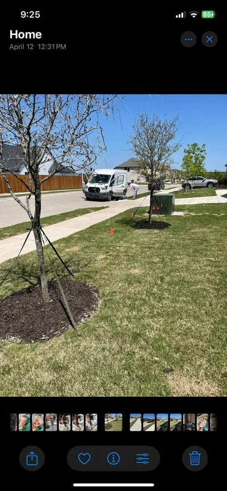 Expert yard maintenance experts serving Whitewright, TX - Soak'N'Grow