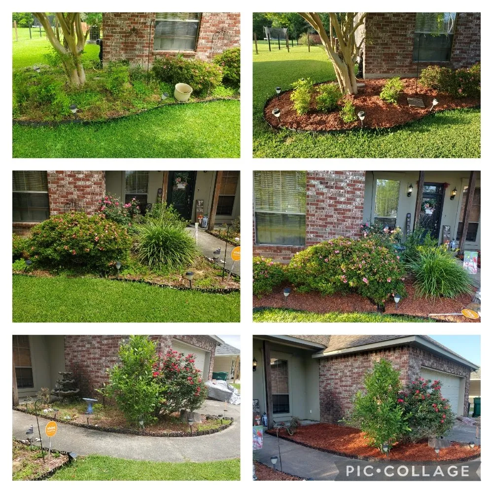 Custom lawn care service near you in Denham Springs, LA by Soaring Eagle Landscape Services
