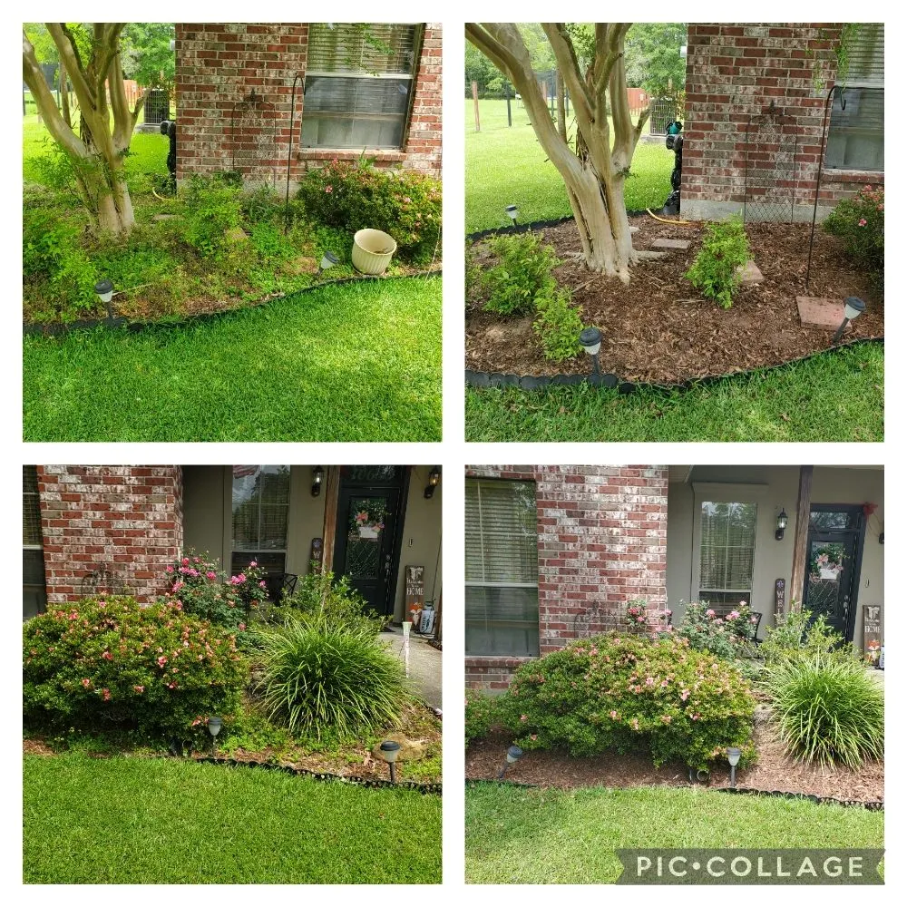Professional yard maintenance for year-round maintenance across Denham Springs, LA - Soaring Eagle Landscape Services