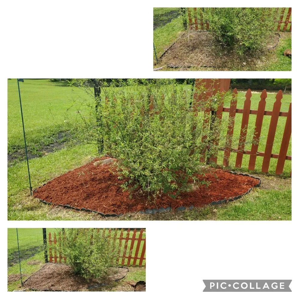 Top-rated landscape design experts serving Denham Springs, LA - Soaring Eagle Landscape Services