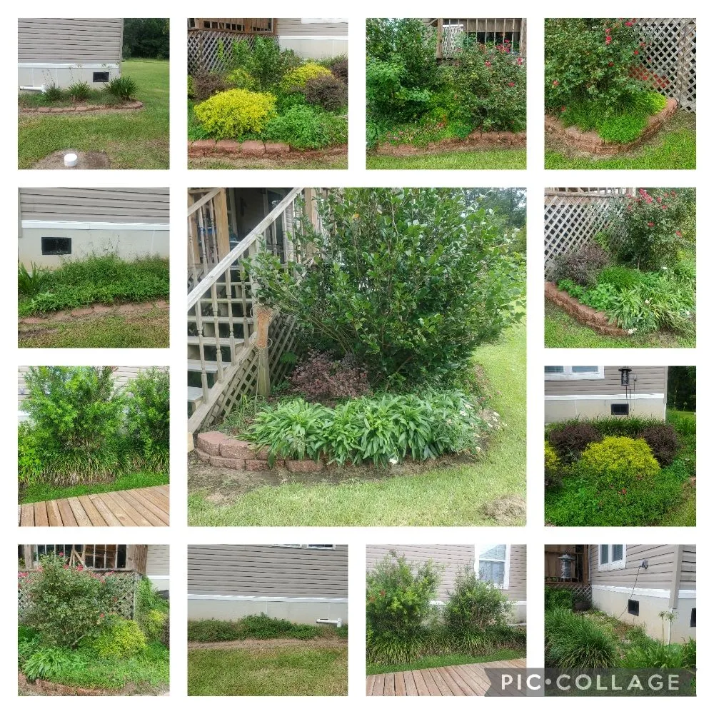 Reliable yard cleanup service in Denham Springs, LA - Soaring Eagle Landscape Services