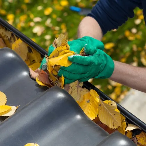 Expert yard maintenance with custom design across Cranberry Township, PA - Soaring Suds