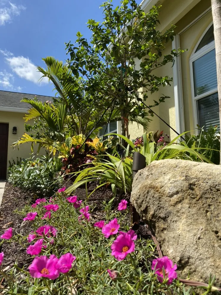 Local landscape installation in West Palm Beach, FL by Soberal Services
