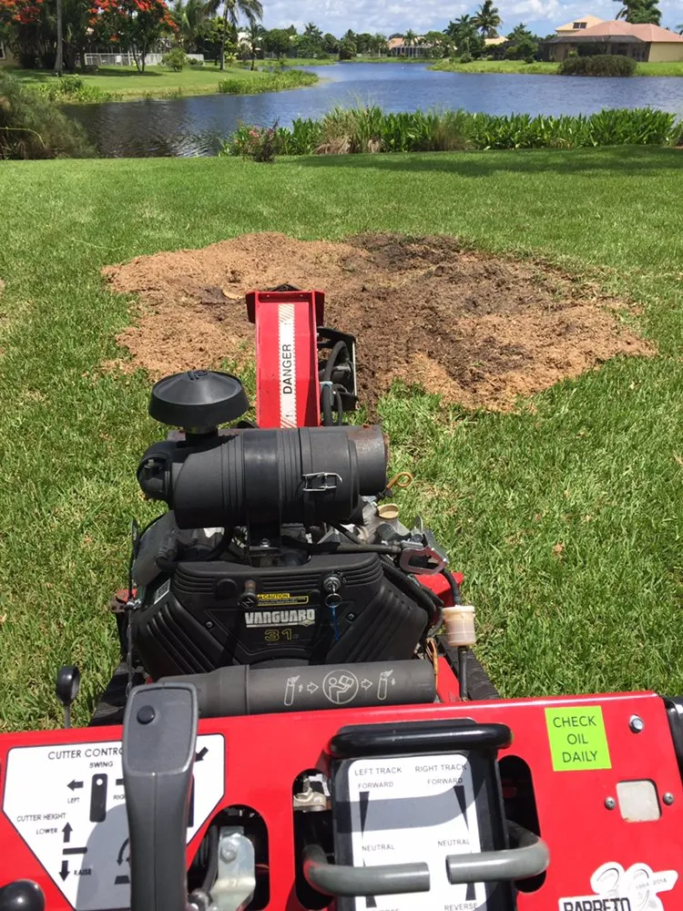 Custom landscaping services in West Palm Beach, FL - Soberal Services