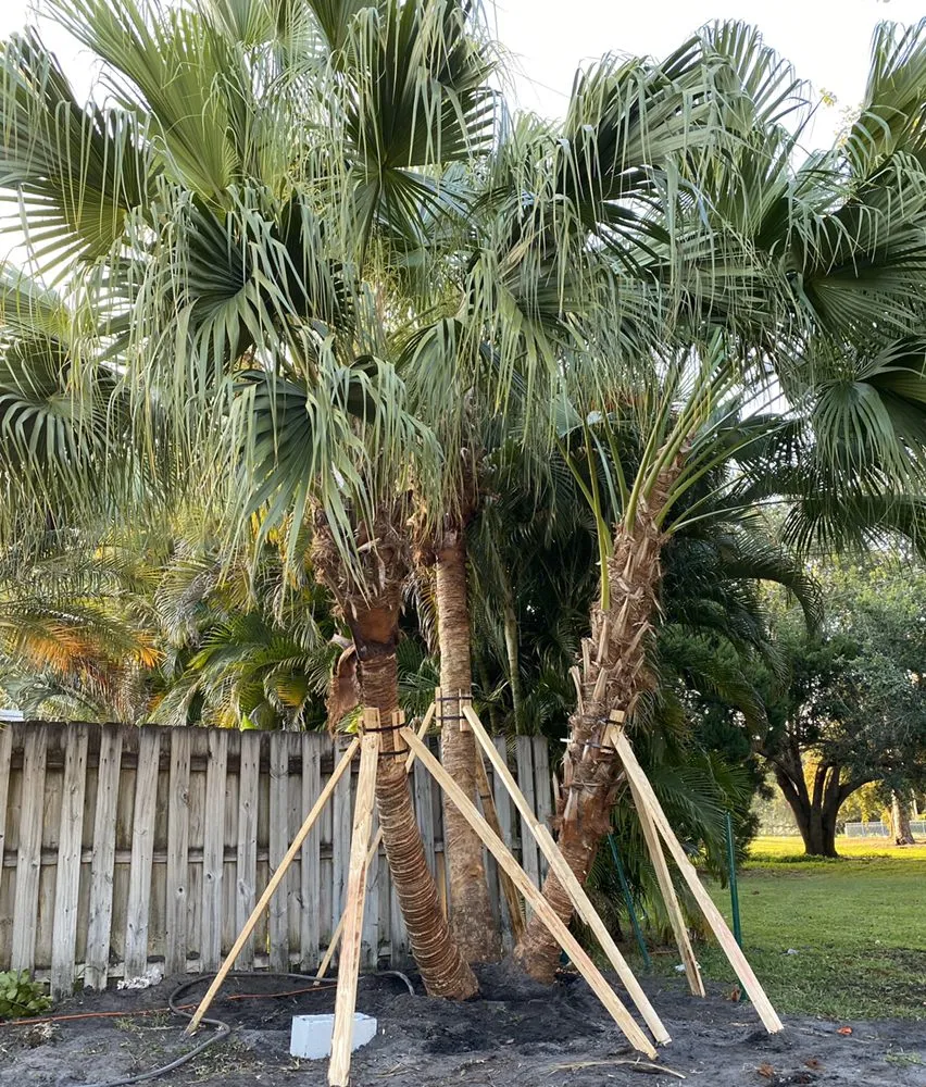 Professional yard cleanup service for year-round maintenance across West Palm Beach, FL - Soberal Services