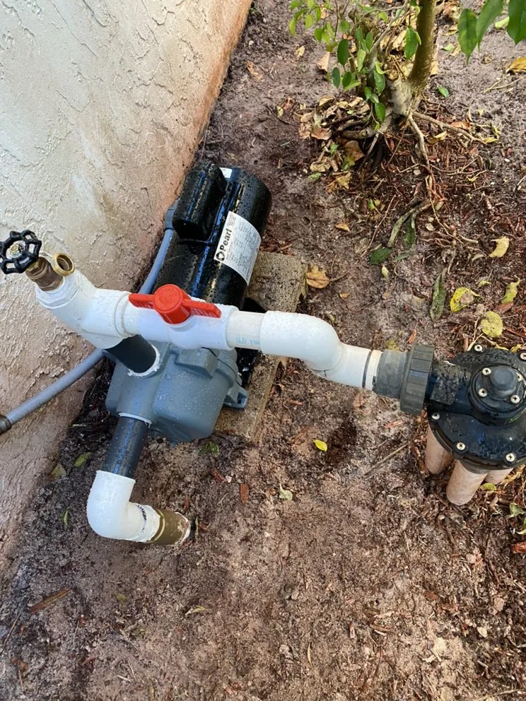 Affordable yard cleanup service in West Palm Beach, FL - Soberal Services