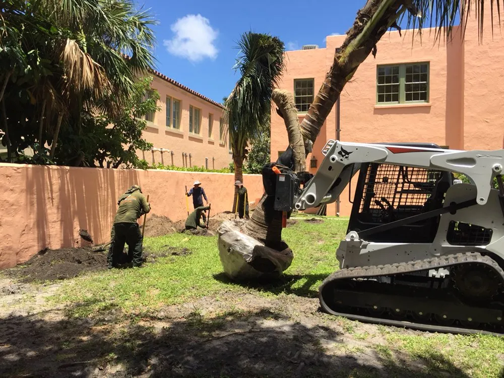 Local yard maintenance in West Palm Beach, FL by Soberal Services