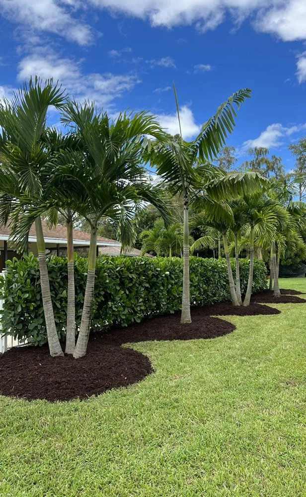 Reliable garden landscaping for year-round maintenance in West Palm Beach, FL by Soberal Services