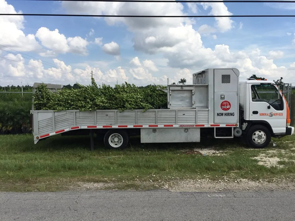 Reliable residential landscaping for homes across West Palm Beach, FL - Soberal Services