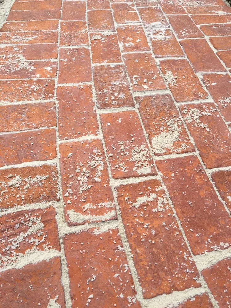 Expert residential landscaping for year-round maintenance across West Palm Beach, FL - Soberal Services