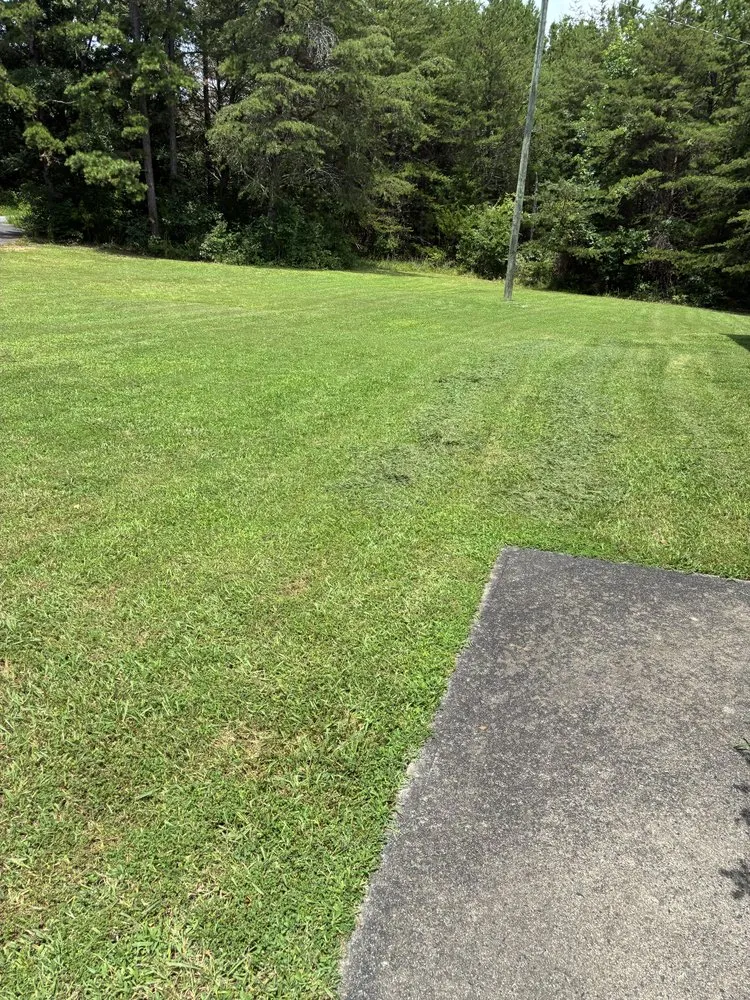 Top-rated yard cleanup service for beautiful yards across South Boston, VA - SoBo Landscaping