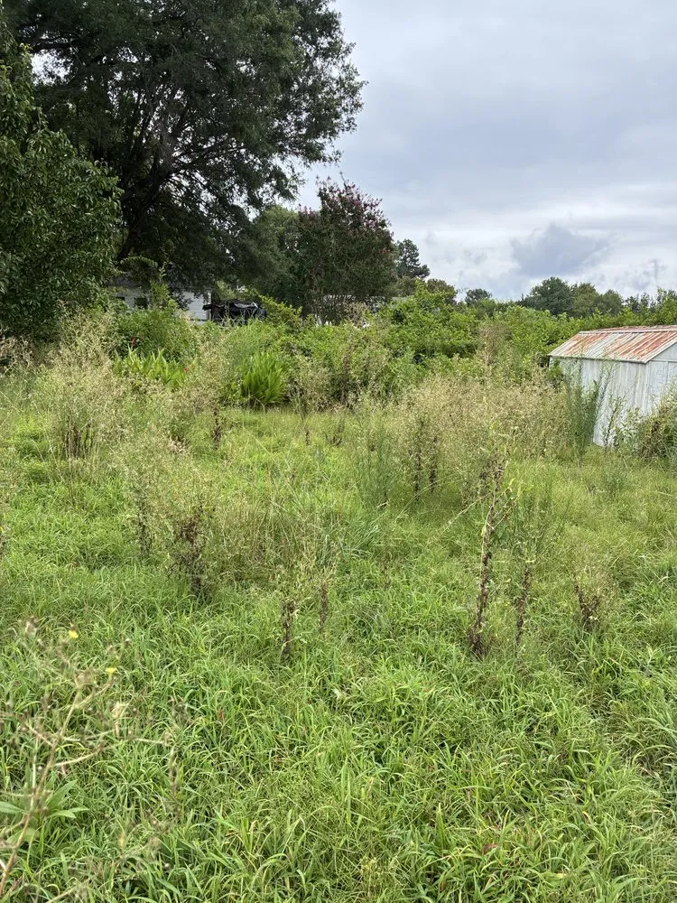 Top-rated landscape design in South Boston, VA by SoBo Landscaping
