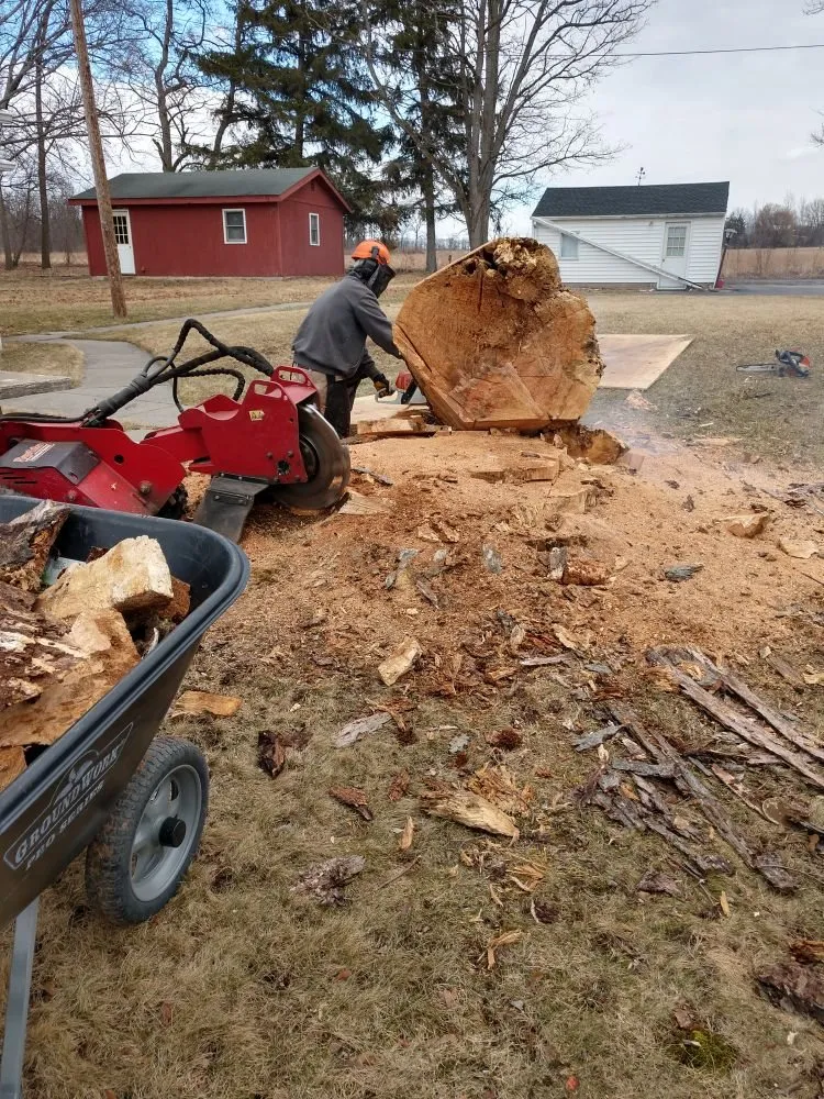 Top-rated yard cleanup service in Waterloo, NY - Sobus Estate Services