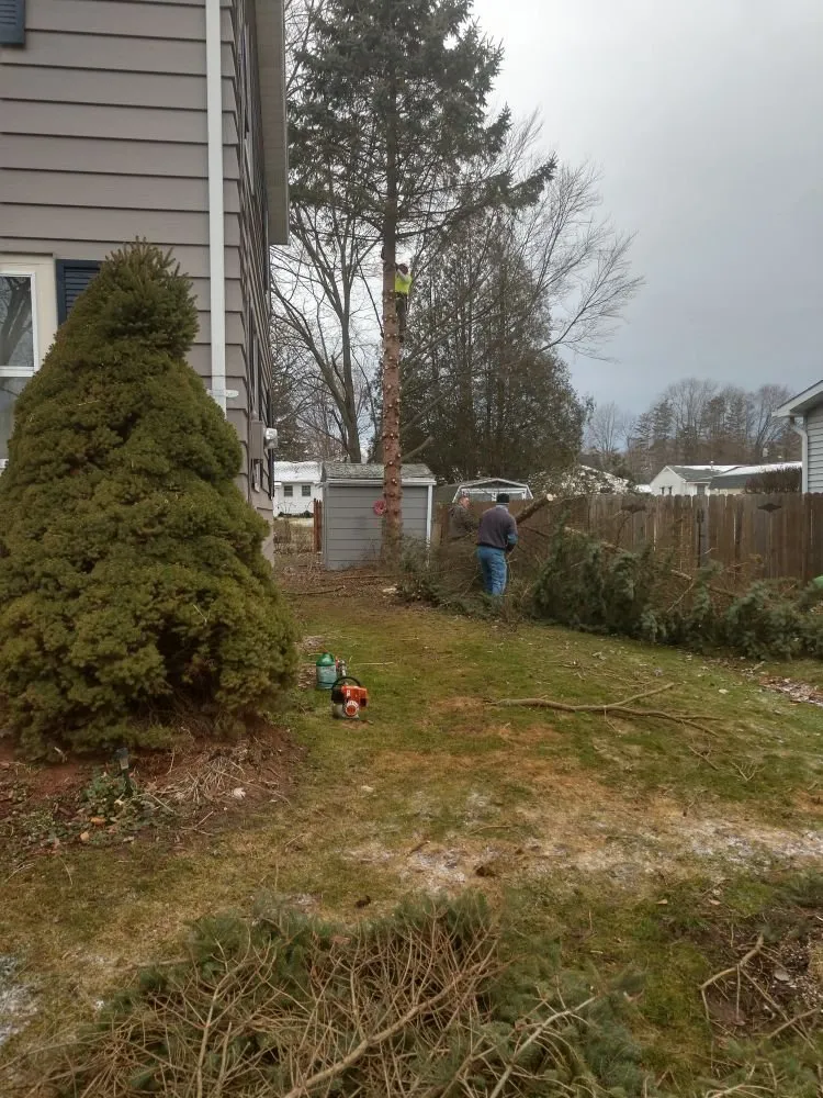 Top-rated outdoor landscaping for homes in Waterloo, NY by Sobus Estate Services