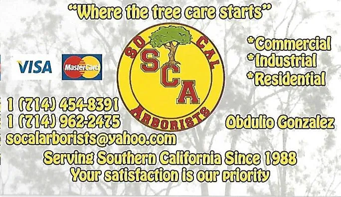 Affordable landscape design in Fountain Valley, CA by Socal Arborists
