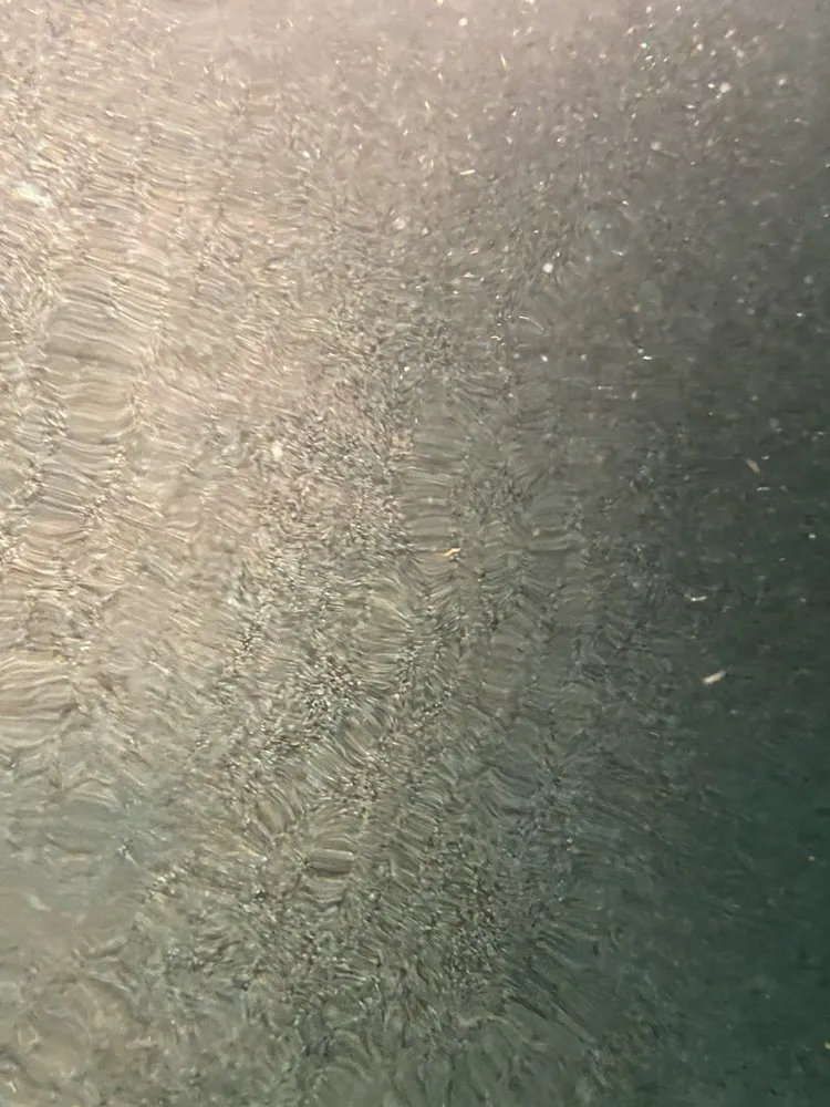 Trusted garden landscaping for year-round maintenance across Fountain Valley, CA - Socal Arborists