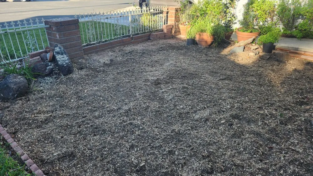 Affordable residential landscaping experts serving Fountain Valley, CA - Socal Arborists