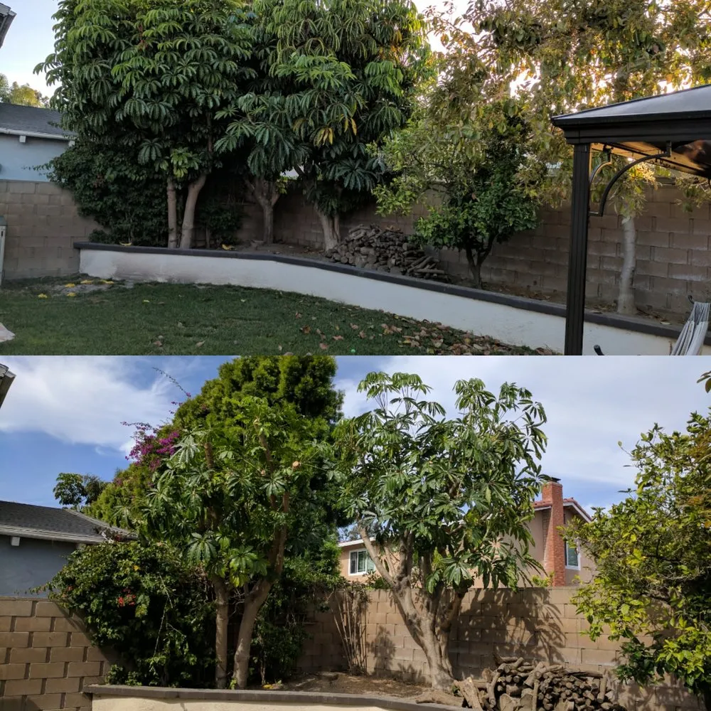 Reliable landscape design in Fountain Valley, CA - Socal Arborists