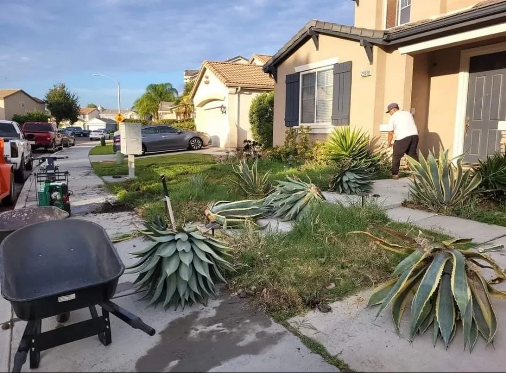 Custom yard maintenance for outdoor upgrades across Riverside, CA - Socal Landscape and Maintenance