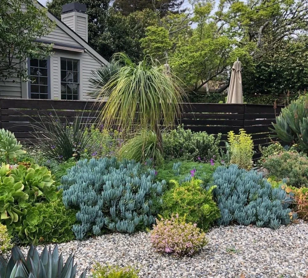 Professional residential landscaping with custom design in Altadena, CA by SoCal Landscape and Trees