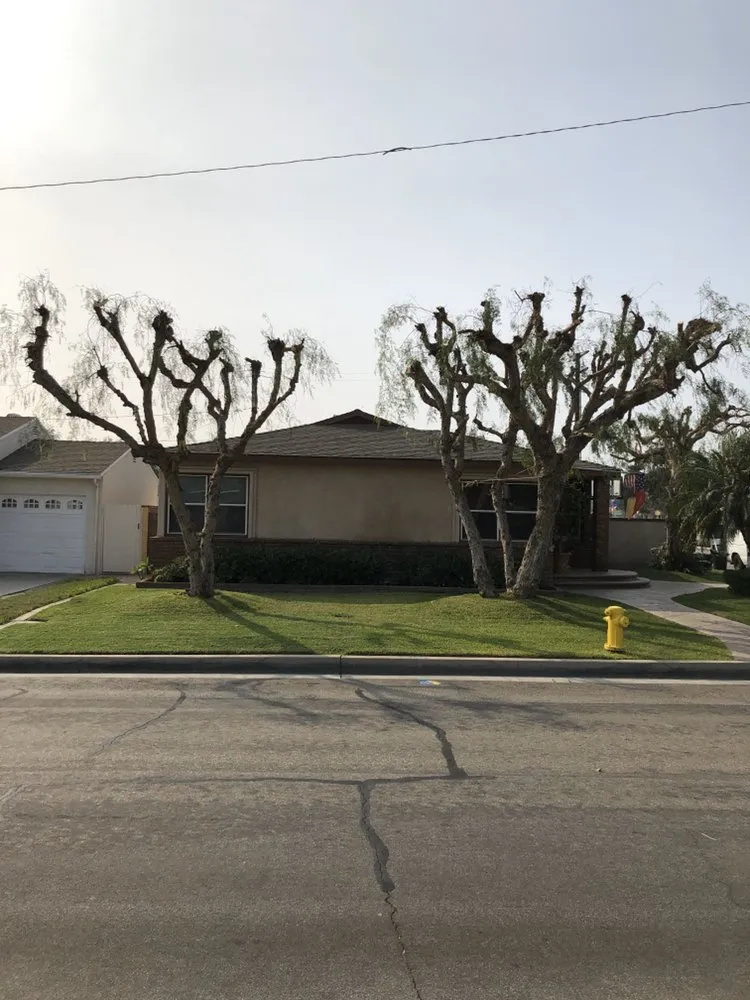 Reliable lawn care service experts serving Altadena, CA - SoCal Landscape and Trees