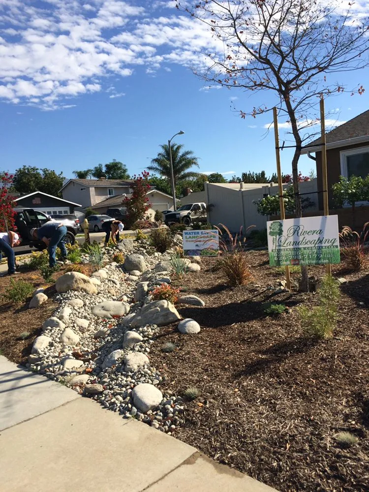 Custom garden landscaping experts serving Altadena, CA - SoCal Landscape and Trees