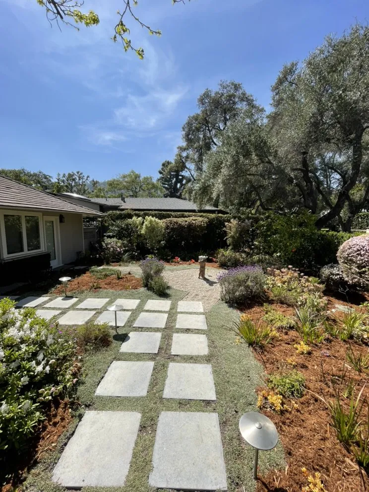 Local landscape design in Altadena, CA - SoCal Landscape and Trees