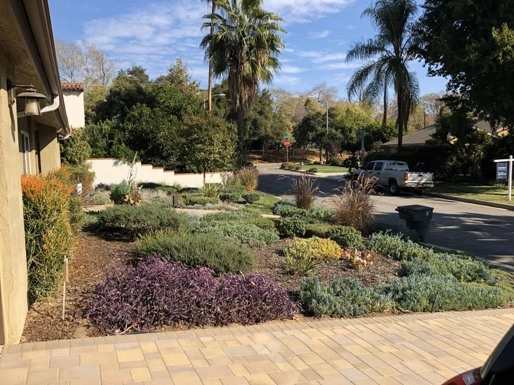 Reliable landscaping services in Altadena, CA - SoCal Landscape and Trees